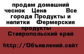 продам домашний чеснок › Цена ­ 100 - Все города Продукты и напитки » Фермерские продукты   . Ставропольский край